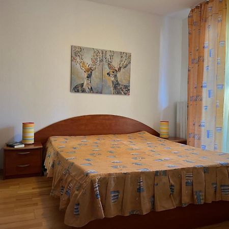 Muller Apartment سِنايا المظهر الخارجي الصورة