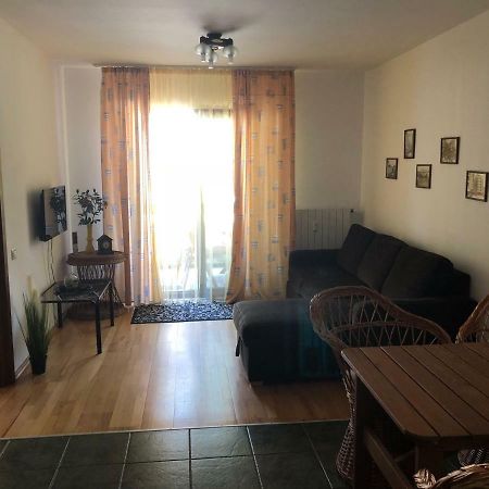 Muller Apartment سِنايا المظهر الخارجي الصورة