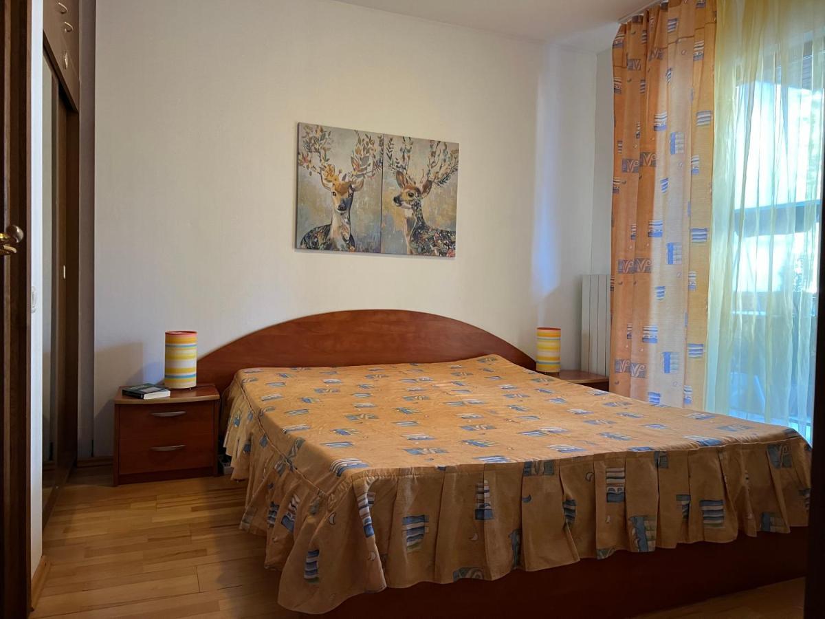 Muller Apartment سِنايا المظهر الخارجي الصورة