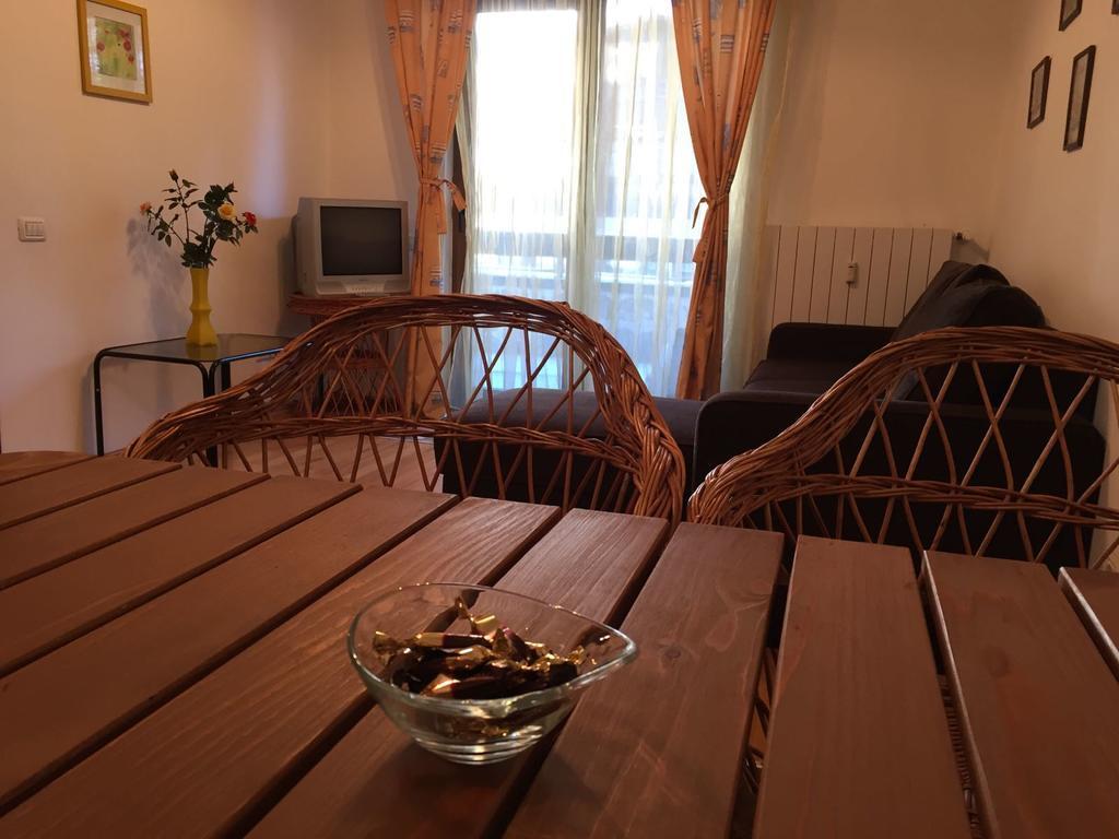 Muller Apartment سِنايا المظهر الخارجي الصورة