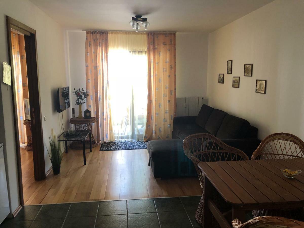 Muller Apartment سِنايا المظهر الخارجي الصورة